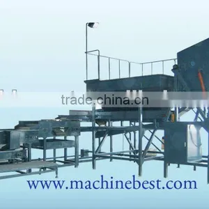 Fully Automatic Potato Grading Line thumbnail-1