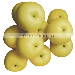 Golden Pear Rich in Vc,Vb,good Taste and Shape Pear With Best Price Pear thumbnail-1