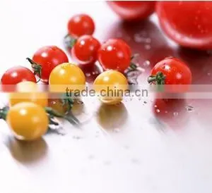 China Hot Sell Canned Tomato Paste 70g*100tins,food Tin Can Making Machine thumbnail-4