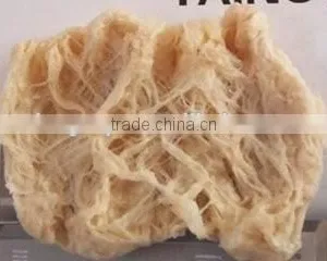 Tissue Proteins Extruder Machine/Equipment thumbnail-5