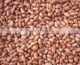 Chinese Blanched Peanuts thumbnail-1