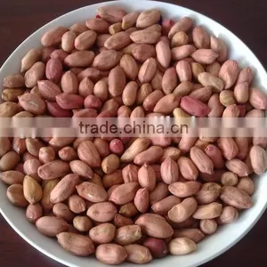 Chinese Raw Organic Peanut in Shell thumbnail-1