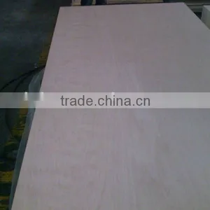 Beech Plywood thumbnail-1