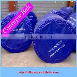 Hot Sale Good Quality Low Price Nylon Conveyor Belt (NN100-250) thumbnail-1