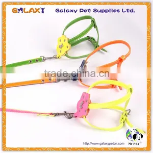 Colorful Pet Collar and Leash Nylon Pet Products New Design Pet Collar, Sell Well Dog Leash thumbnail-1