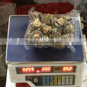 Dreid Shiitake Mushroom GRADE A ( CAP 2-4 CM ) thumbnail-1