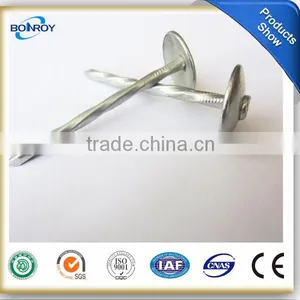Umbrella Head Roofing Nails 51mm thumbnail-2