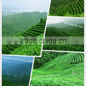 2016 Fresh Organic Black Tea Leafs Healthy Food thumbnail-5