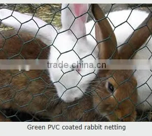 Hexagonal Mesh (anping Manufacturer), Twisted Mesh thumbnail-6