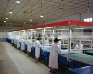 Tongling Sanji Illumination Technology Co., Ltd. company overview - view 3 thumbnail
