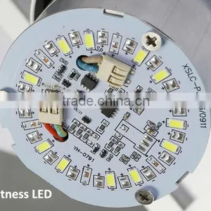 6w Led Apple IP65 PIR Sensor Solar Led Garden Light thumbnail-5