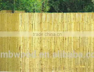 Bamboo Fence Wholesale thumbnail-1