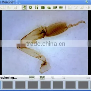 Patent MDA2000R Handheld USB Digital Microscope With Reticle Measurement Function for Education and Research thumbnail-4