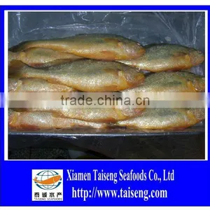 High Quality Of IQF Frozen Yellow Croaker In China thumbnail-1