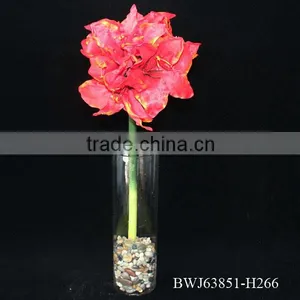 Natural Rose Flowers, Cut Flowers thumbnail-1