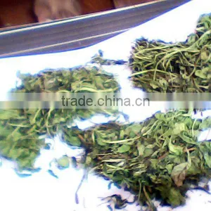 Methi thumbnail-1
