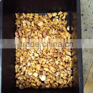 Chain Manufactured CE Certificated High Quality Belt Type Garlic Sorting Machine thumbnail-4