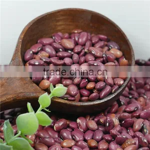 Small Red Kidney Bean 2016 Crop Good Price High Quality thumbnail-1