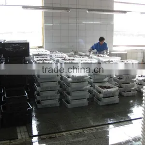 Sweety Fresh Chinese Chestnuts thumbnail-5