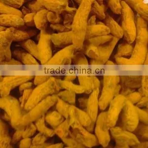Fresh Turmeric / Dried Turmeric / Turmeric Finger thumbnail-2