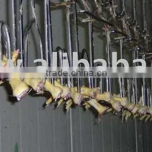 CHICKEN FEET thumbnail-1