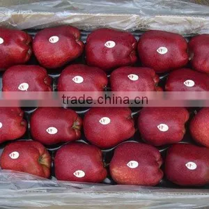 2015 Crop Fresh Red Delicious Apple thumbnail-3
