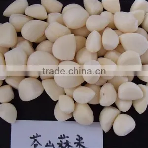 IQF Peeled Garlic for Sale / Frozen Garlic for Export thumbnail-3