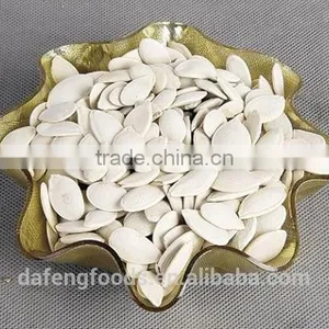 Inner Mongolia Shine Skin Pumpkin Seeds 10-11mm thumbnail-1