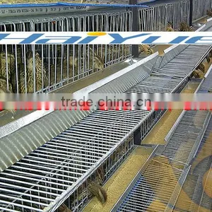 TAIYU Quail Cage Wholesale thumbnail-1