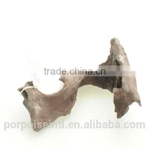 Aquatic Crafts Resin Ornament thumbnail-1