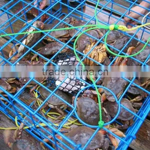 Commercial Coated Crab Trap Wire, Coated Crab Trap Wire thumbnail-2