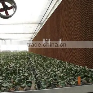 Agricultural Greenhouses Liquid Cooling Pad thumbnail-3