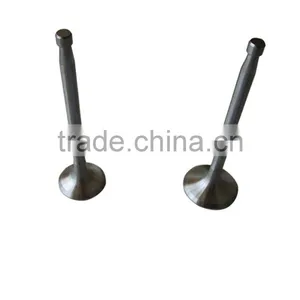 S1105 Engine Inlet and Outlet Valve for Small Tractors thumbnail-1
