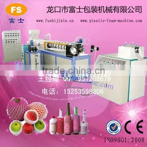CE & ISO9001 Apple/Guava/Melon/Mango EPE Foam Net/Pad Production Line thumbnail-1