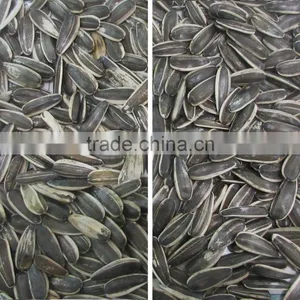 Good Performance Ccd Sunflower Seed Color Sorter Machine in China thumbnail-2