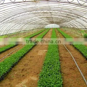 Tunnel Greenhouse for Plants thumbnail-5