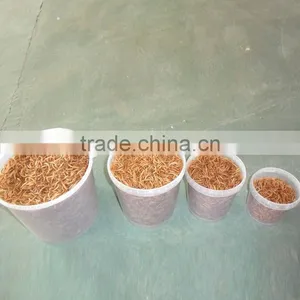 FDA Broiler Poultry Feed Mealworms thumbnail-2