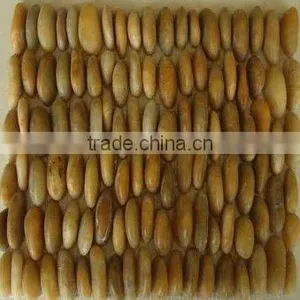 Yellow Pebble Stone thumbnail-1