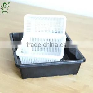 pp Plastic Style and Plastic Tray Without Holes thumbnail-3