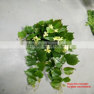 SJH010534 Artificial Small Leaves Mini Artificial Plants Wholesale Cheap Artificial Plants thumbnail-6