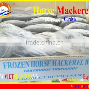 W/R FROZEN HORSE MACKEREL thumbnail-1