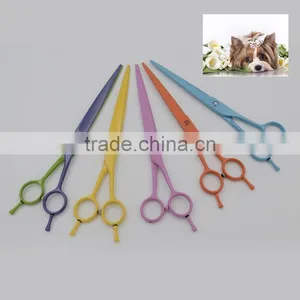 2 Colors Coating Pet Grooming SHEARS Curved or Straight Blades for DOG CAT Hair CUTTING thumbnail-1
