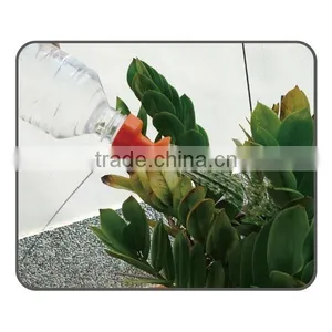 2pcs Bottle-Top Waterers Set thumbnail-4