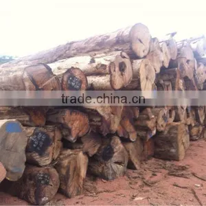 PTEROCARPUS SP LOGS FROM LAOS thumbnail-1