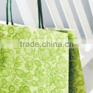 Promotion Paper Bag thumbnail-1