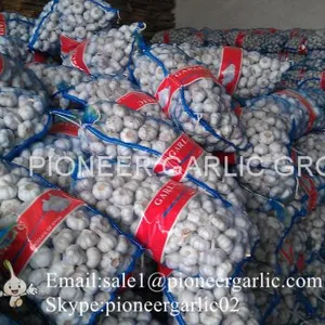 5.5cm And Up Red Garlic Loose Packing In 20kg Mesh Bag thumbnail-3