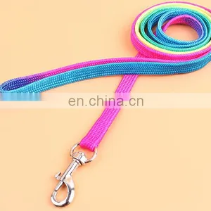 Dog Collar thumbnail-4