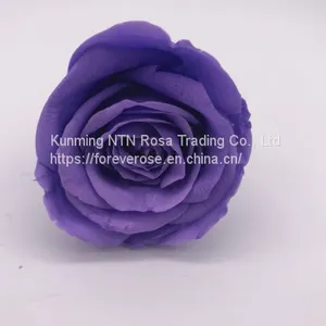 Preserved Fresh Roses Flower for Home Decoration thumbnail-2