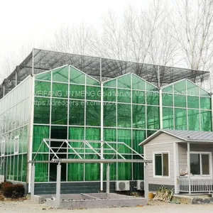 Hydroponic Glass Greenhouse Tomatoes/Lettuce Planting thumbnail-4
