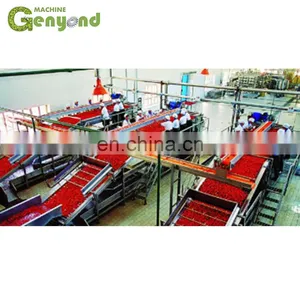 Fruit Jam Tomato Past Process Machine Plant thumbnail-3